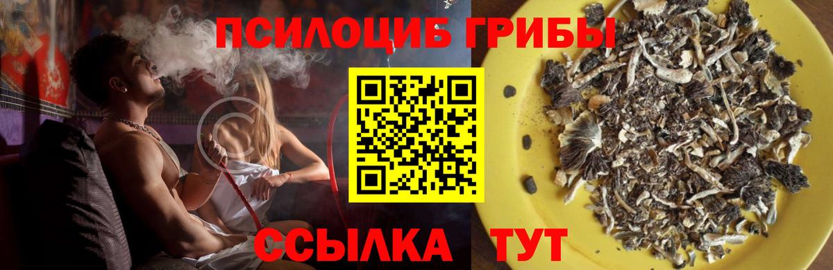 Псилоцибиновые грибы Magic Shrooms Мурино