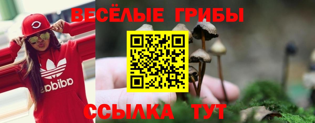 Мурино  Галлюциногенные грибы мухоморы  Псилоцибиновые грибы ЛСД  Вход с VPN 